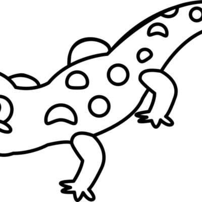 Newt   Clipart 2 Thumbnail